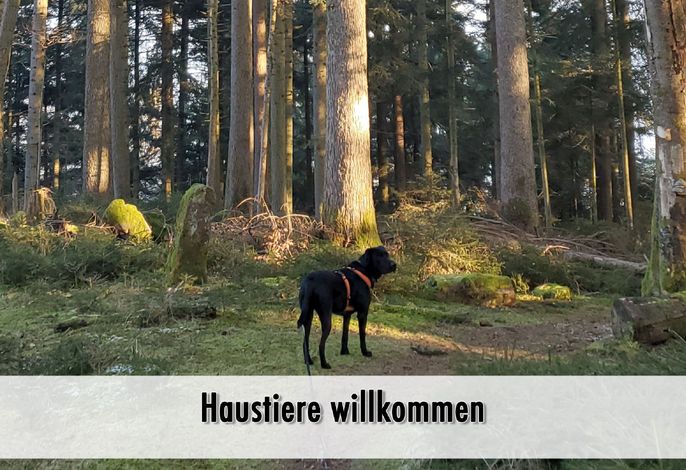 Bild 20