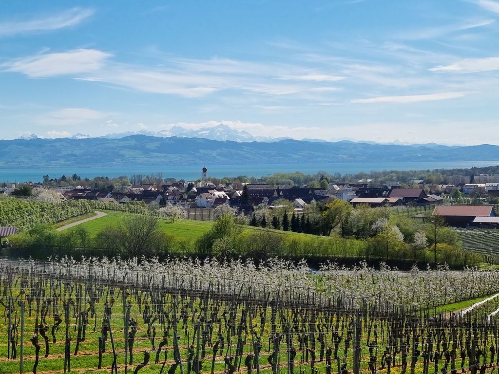MF Feriendomizil am Bodensee