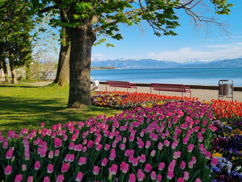 MF Feriendomizil am Bodensee