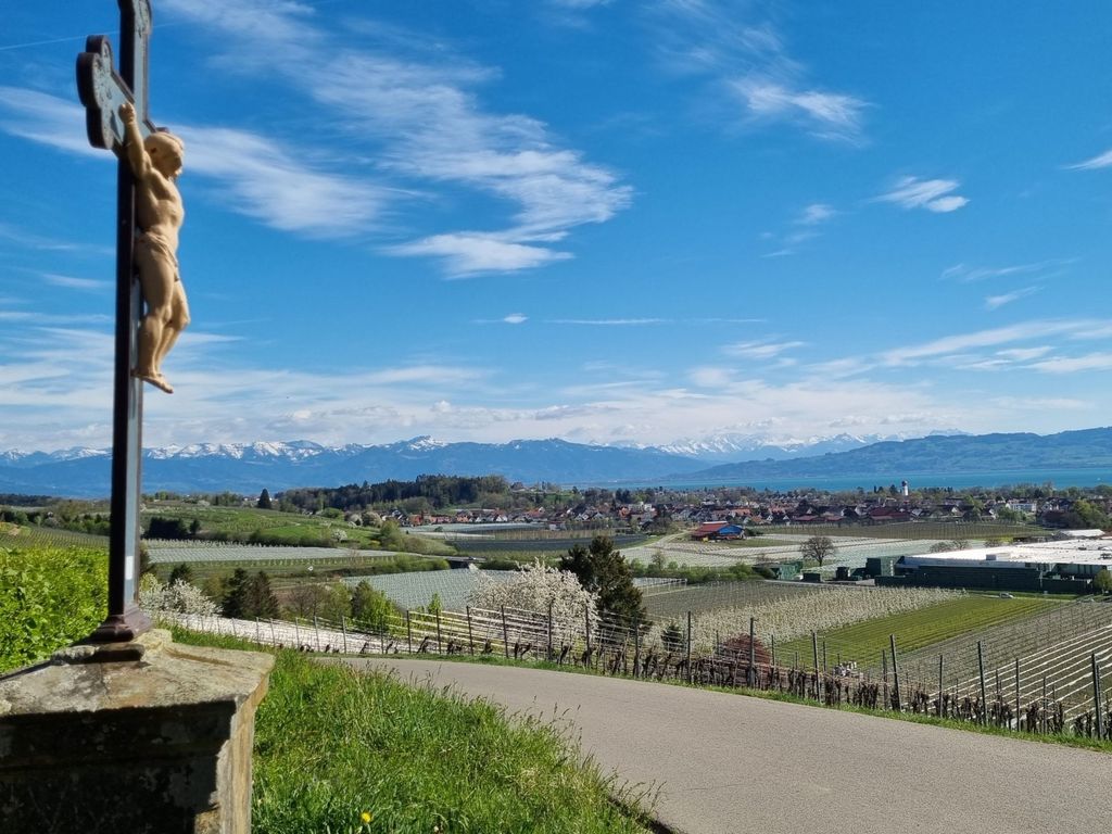 MF Feriendomizil am Bodensee