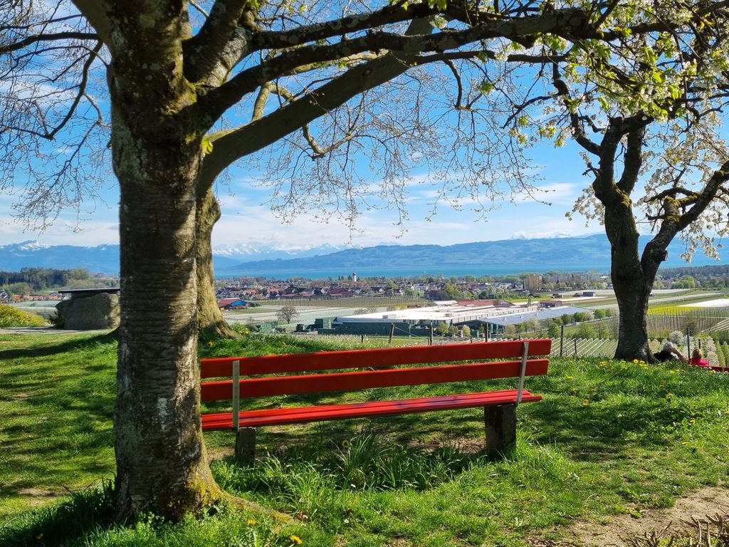 MF Feriendomizil am Bodensee
