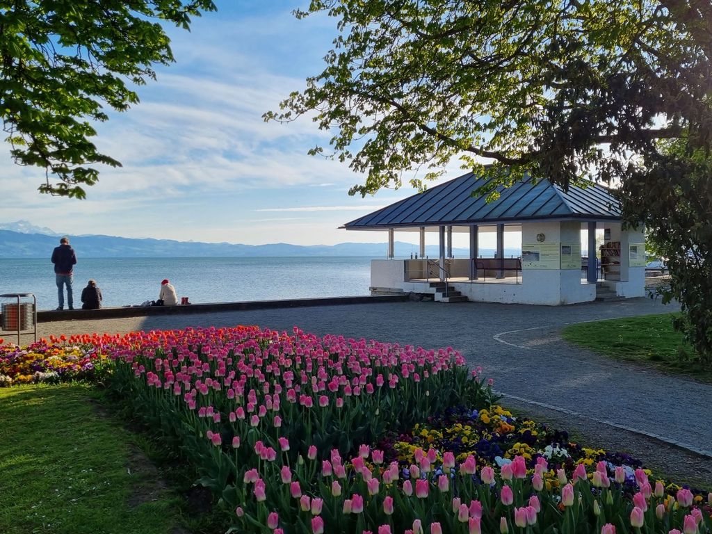 MF Feriendomizil am Bodensee