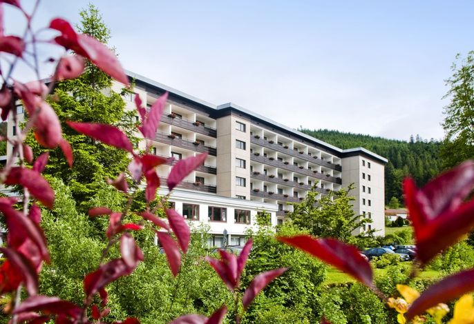 Hotel RECHTMURG 27