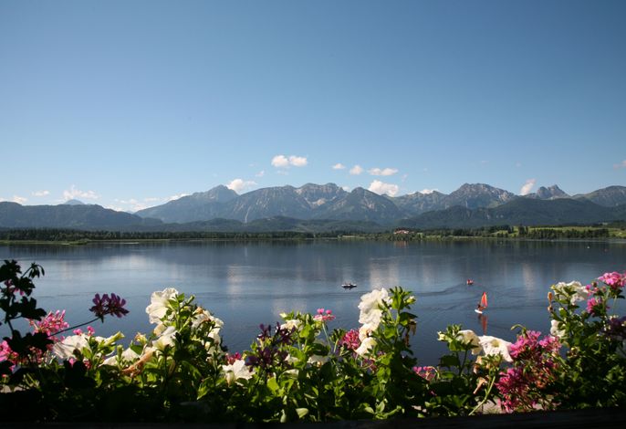 Ferienwohnungen am Hopfensee im Allgäu – Foto 3