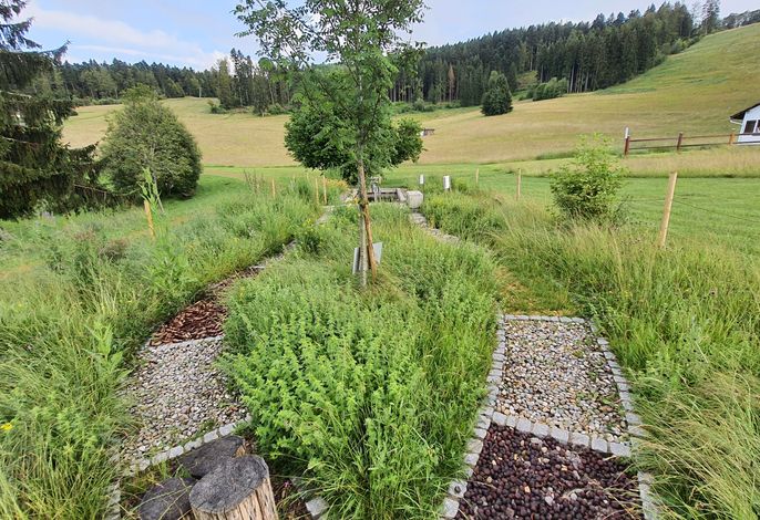 Bild 46
