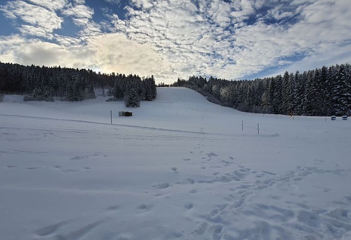 Bild 18