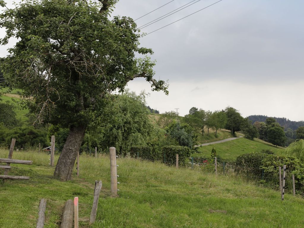 Blick in die Natur von der Terrasse
