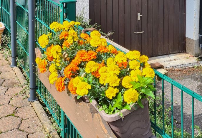 Pension Hauber