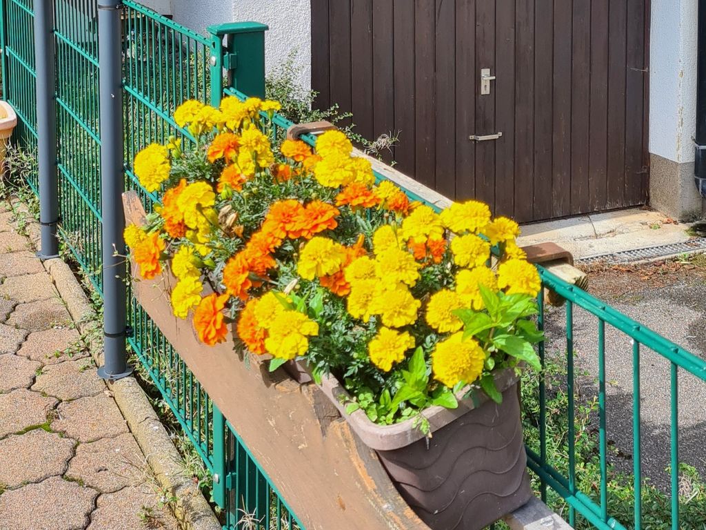 Pension Hauber