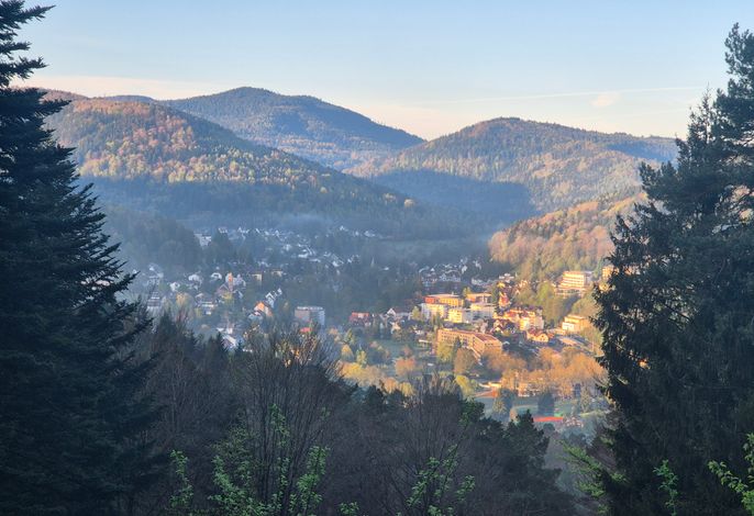 Bild 14