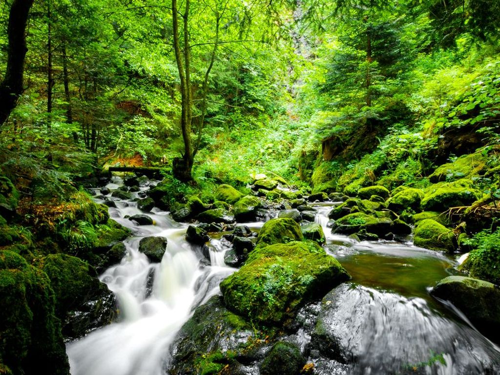 Harz