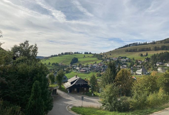 Bild 14