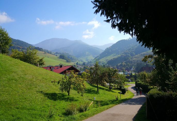 Bild 8