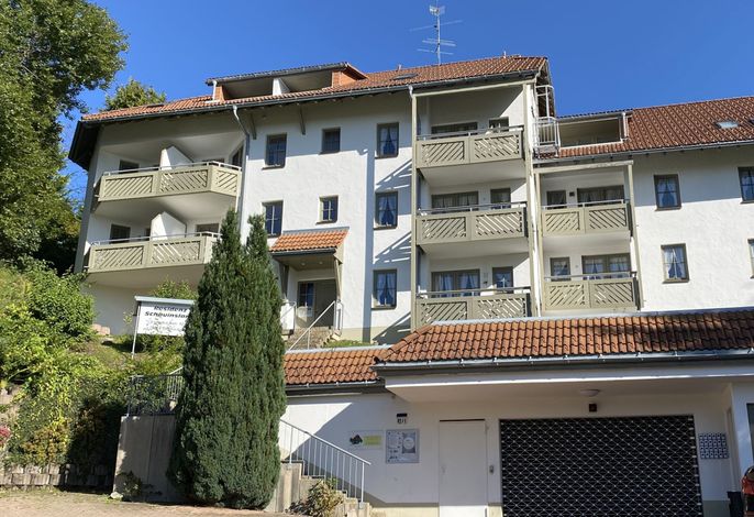Ferienwohnung „SchwarzwaldnACHT“ – Ruhe & Natur in Todtnauberg - Mein SWH