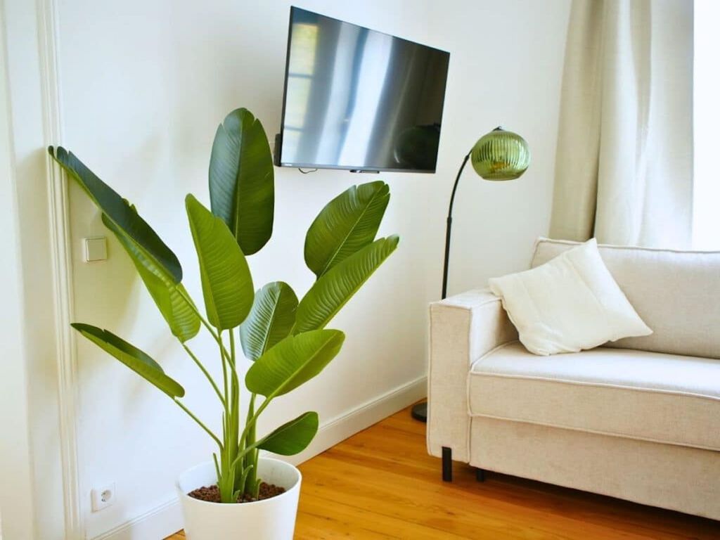 Apartment 2