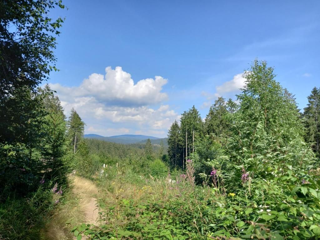 Umgebung