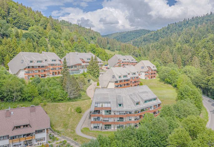 Todtmoosblick mit Panoramabalkon
