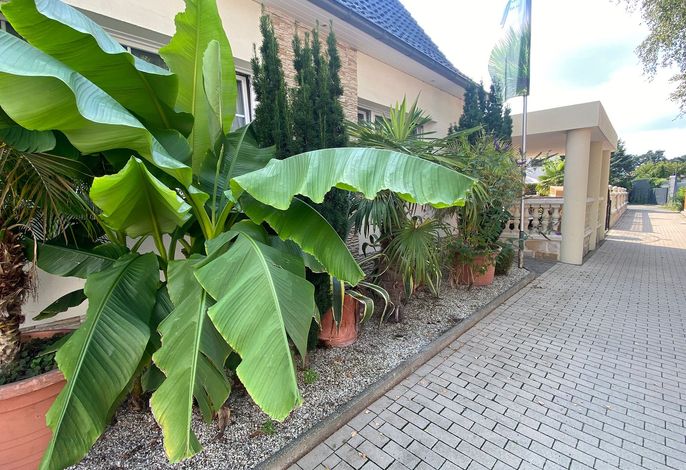 Bild 14