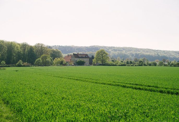 Bild 15