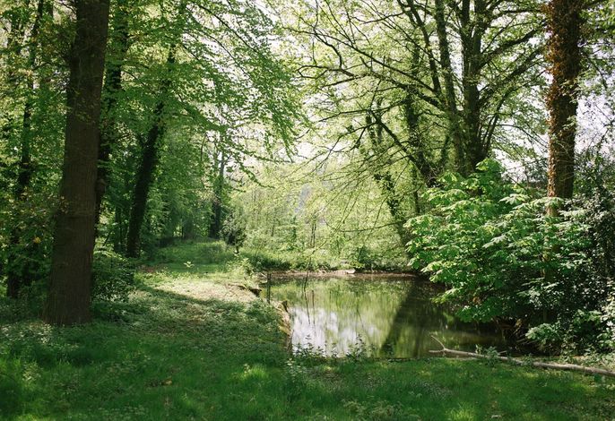 Bild 16