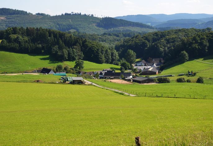 Bild 7
