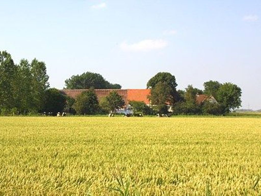 Ennen,  Dirk , Ennenhof