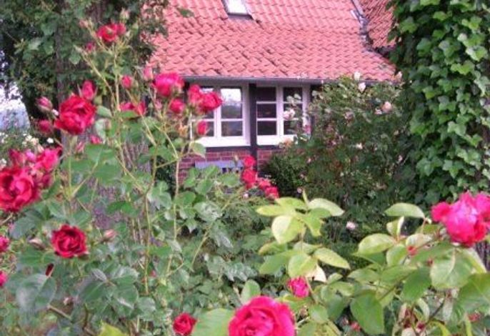 Bild 16