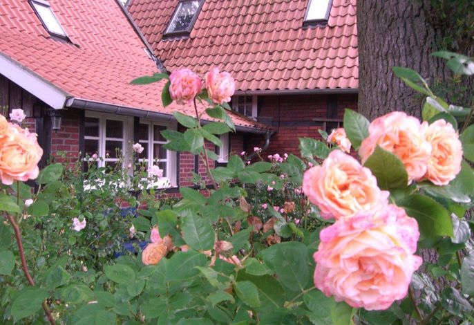 Bild 13