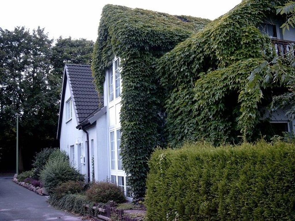 Ferienwohnung Jule