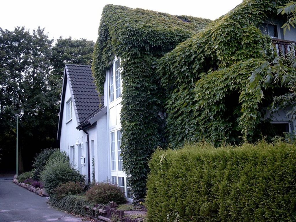 Ferienwohnung Jule