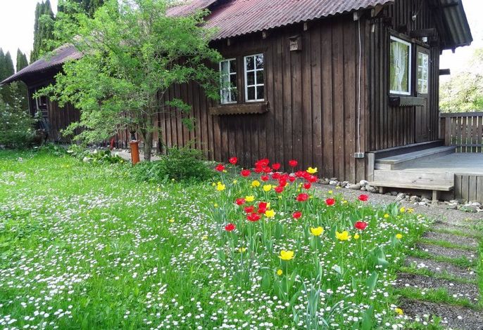 Bild 13
