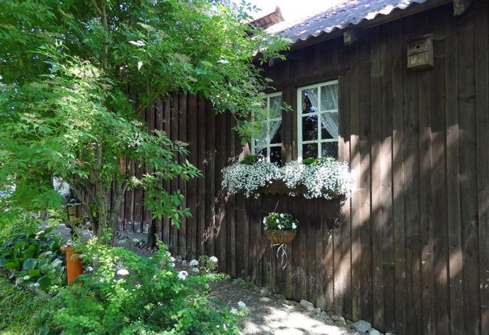 Bild 11