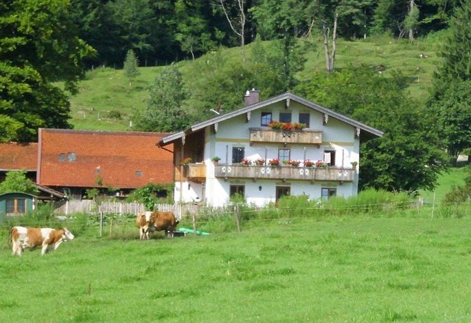 Bild 12