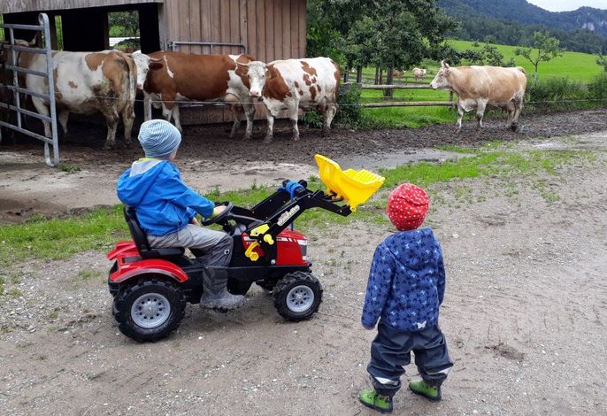 Bild 19
