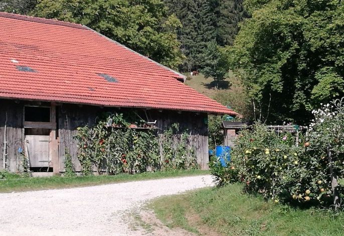 Bild 27