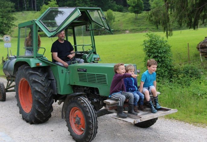 Bild 18