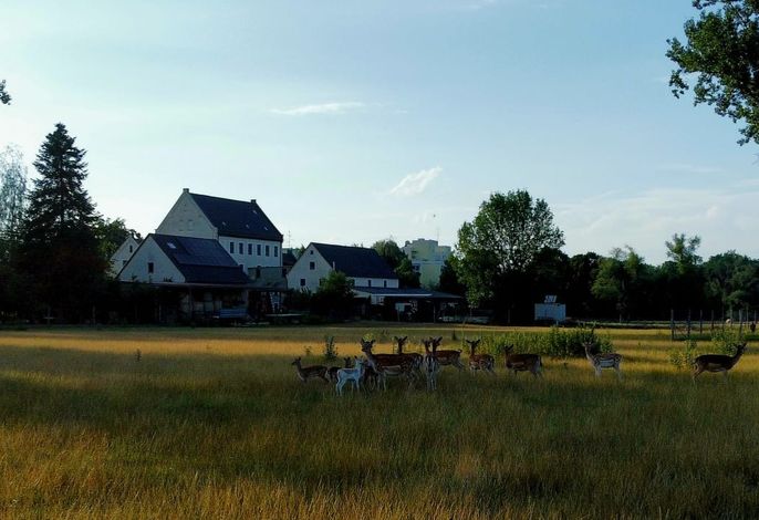 Bild 13