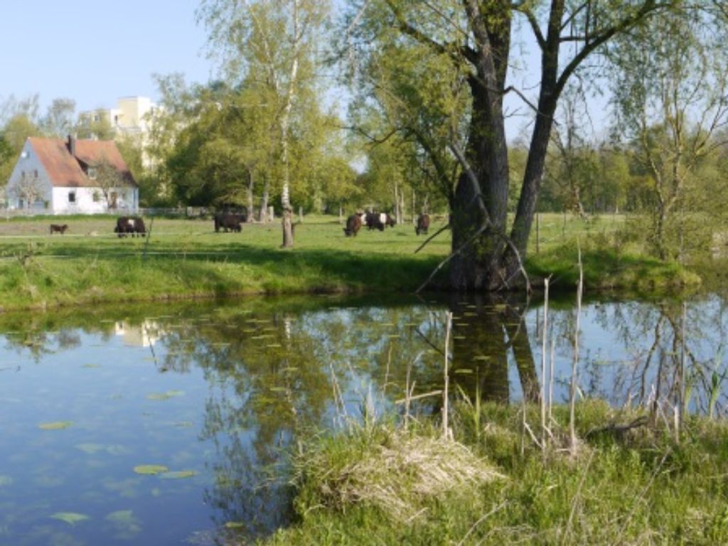 Weiher mit Haus Resi