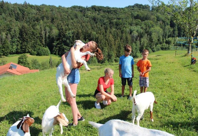 Bild 16