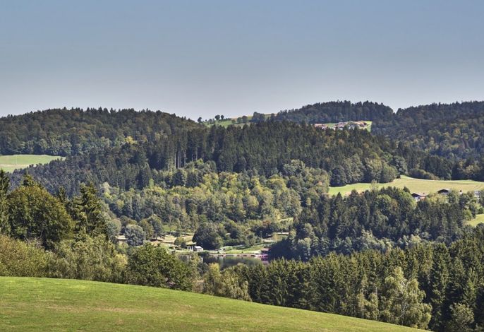 Bild 15
