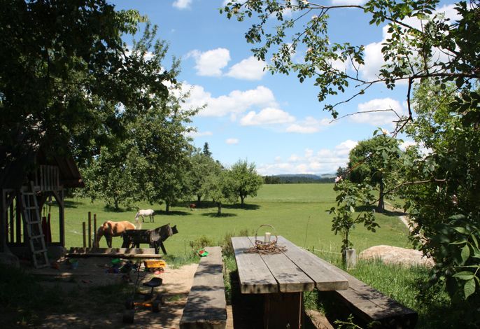 Bild 12