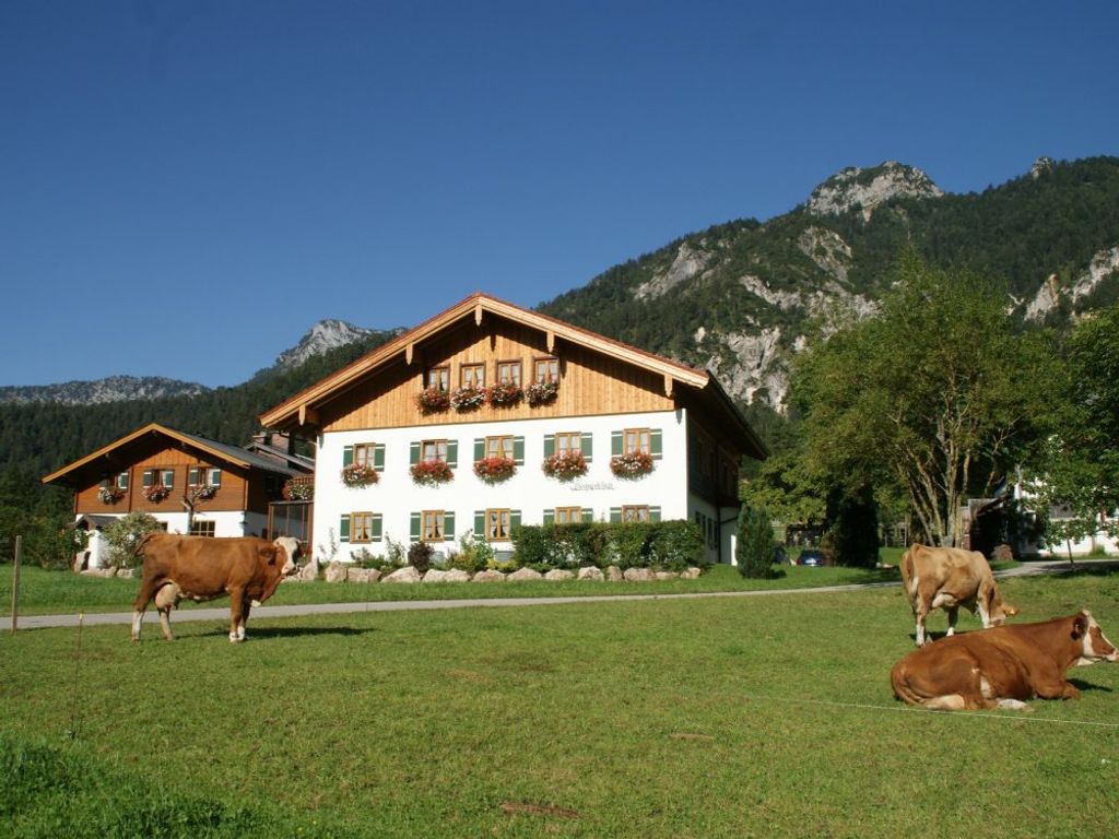 Bognerlehen mit Kühe