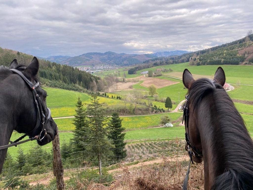 Blick ins Tal vom Pferderuecken