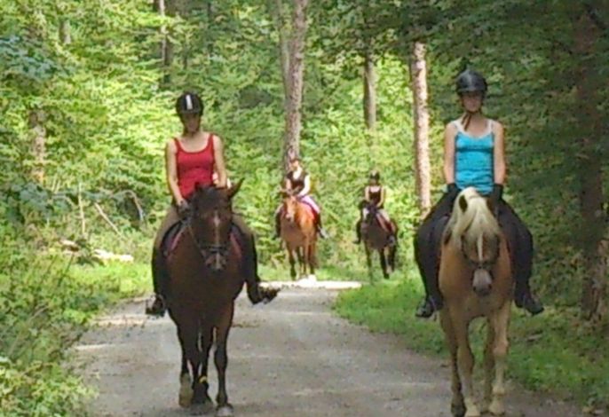 Bild 13