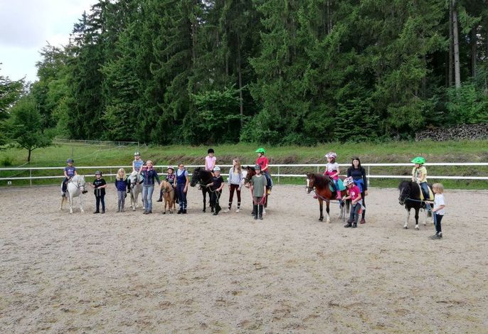 Bild 19