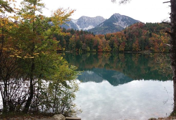 Bild 19