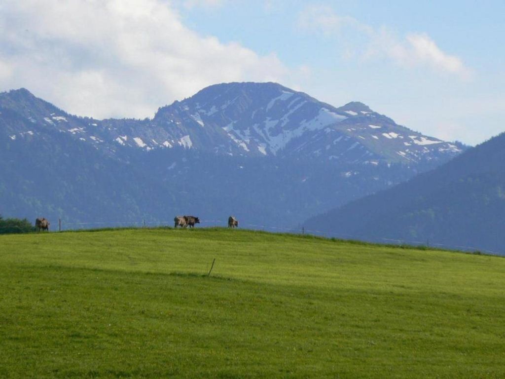 Bergblick