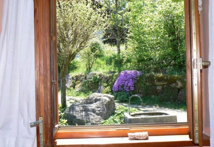 Bild 17