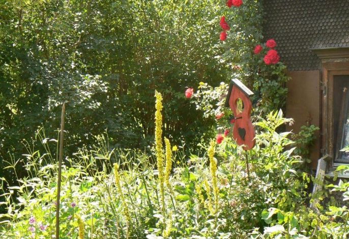 Bild 25