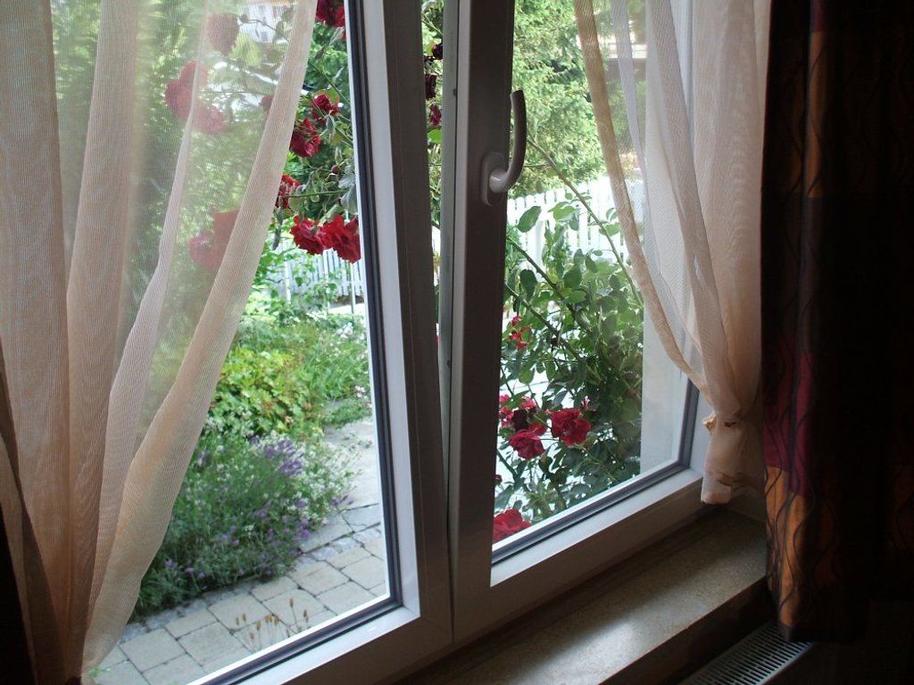 "AMBIENTE" - Ausblick zu den Rosen
